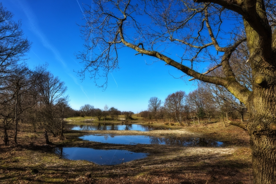 Unieke natuur